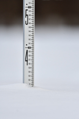 積雪131