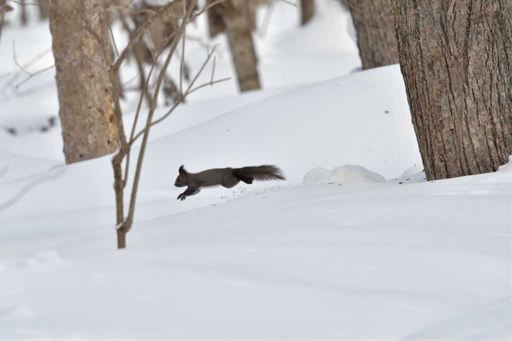 孤独のランナー