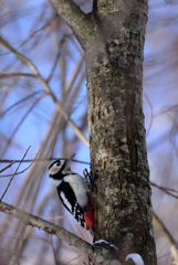 硬いかも・・・