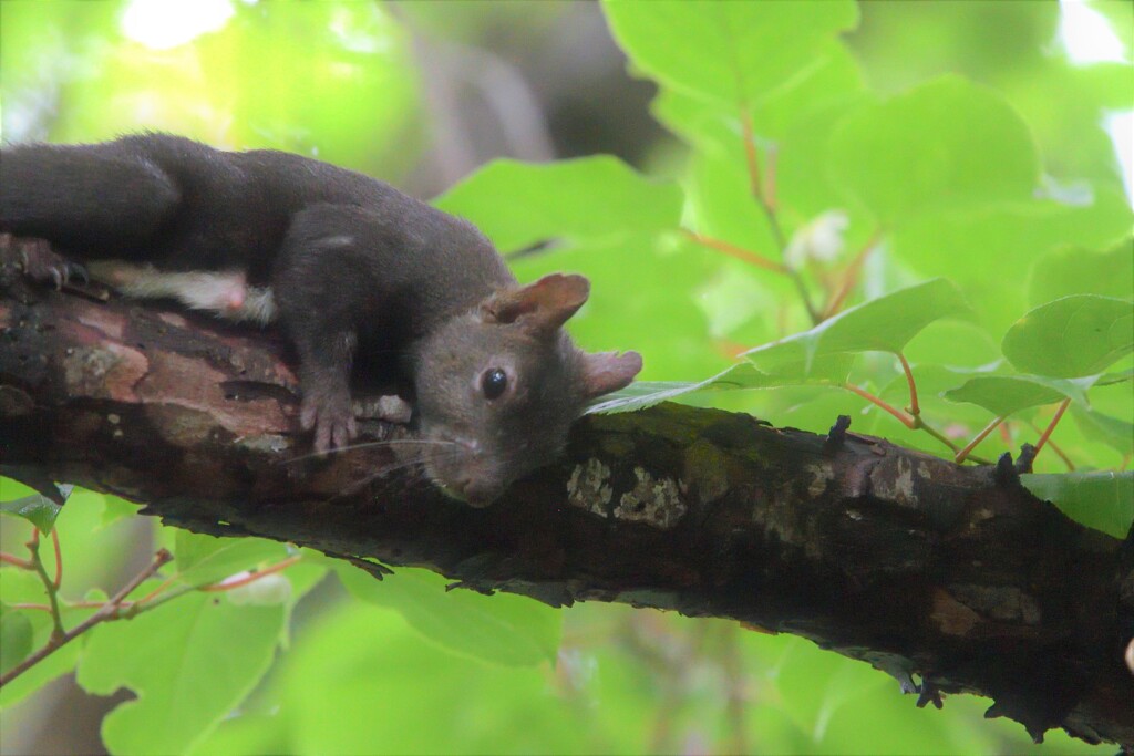 のんびりタイム