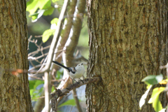 ハッピーポーズ