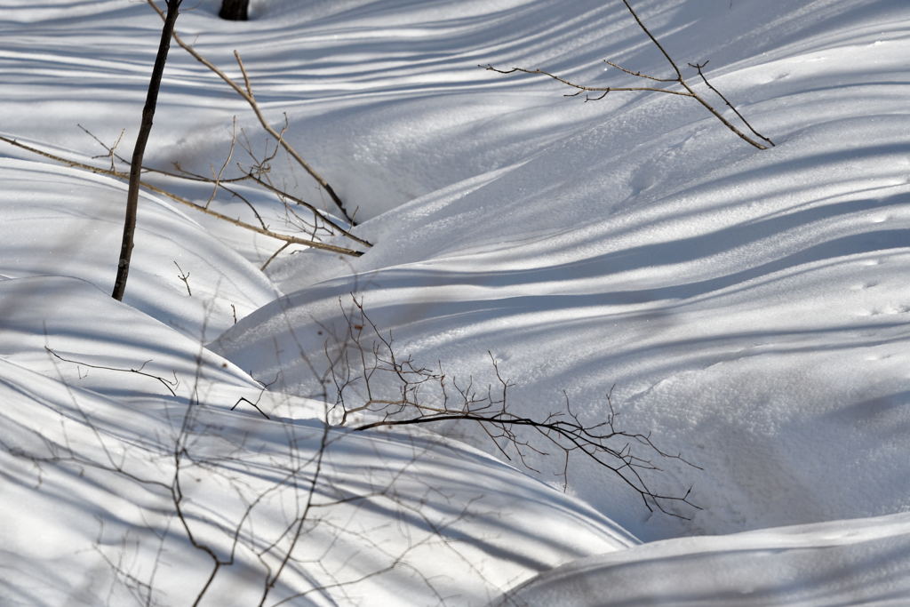 雪波