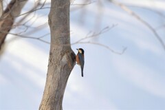 ダイエット成功