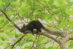 クラウチングスタート