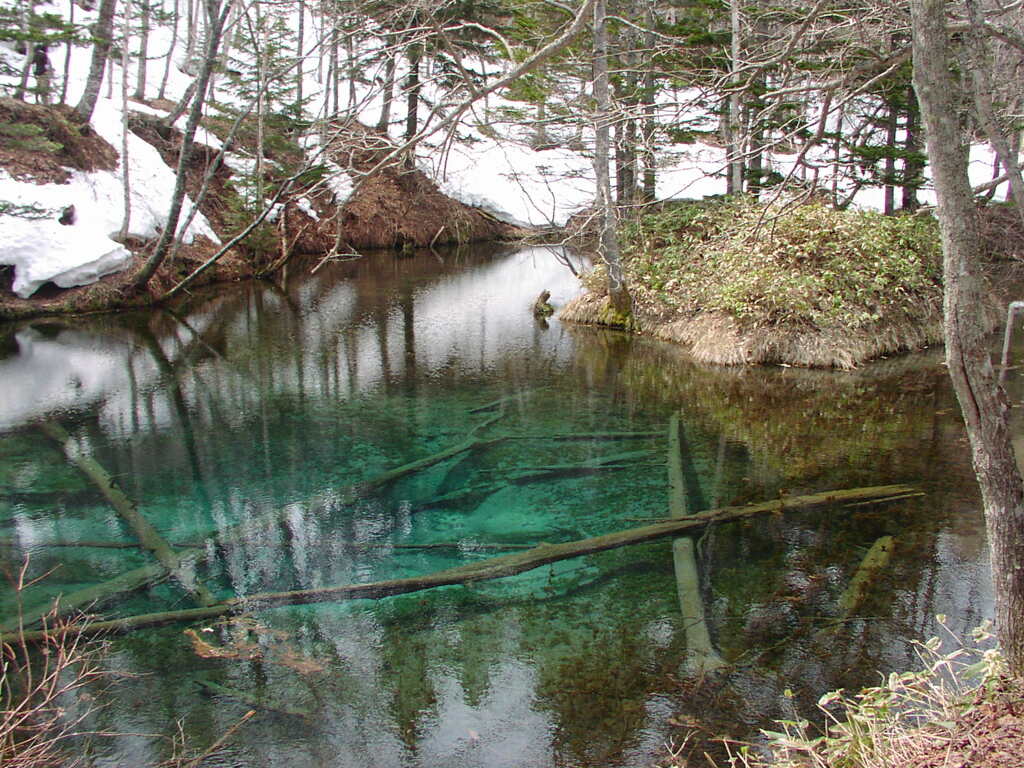 エメラルド色の輝き