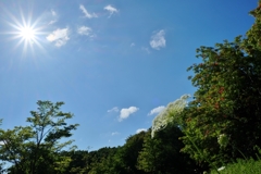 キラキラ