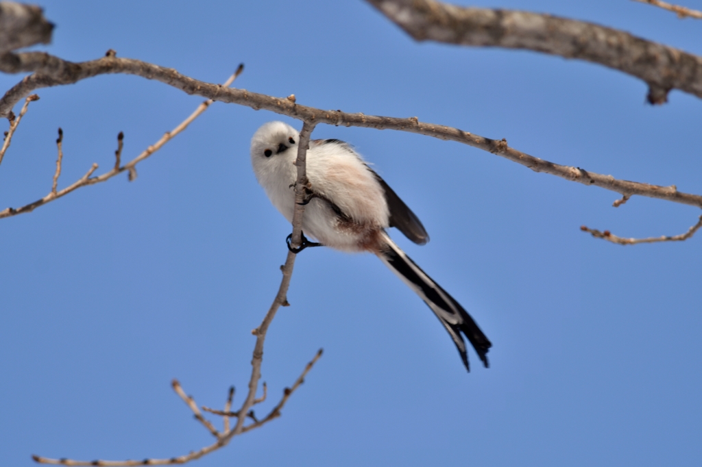 お・も・て・な・し