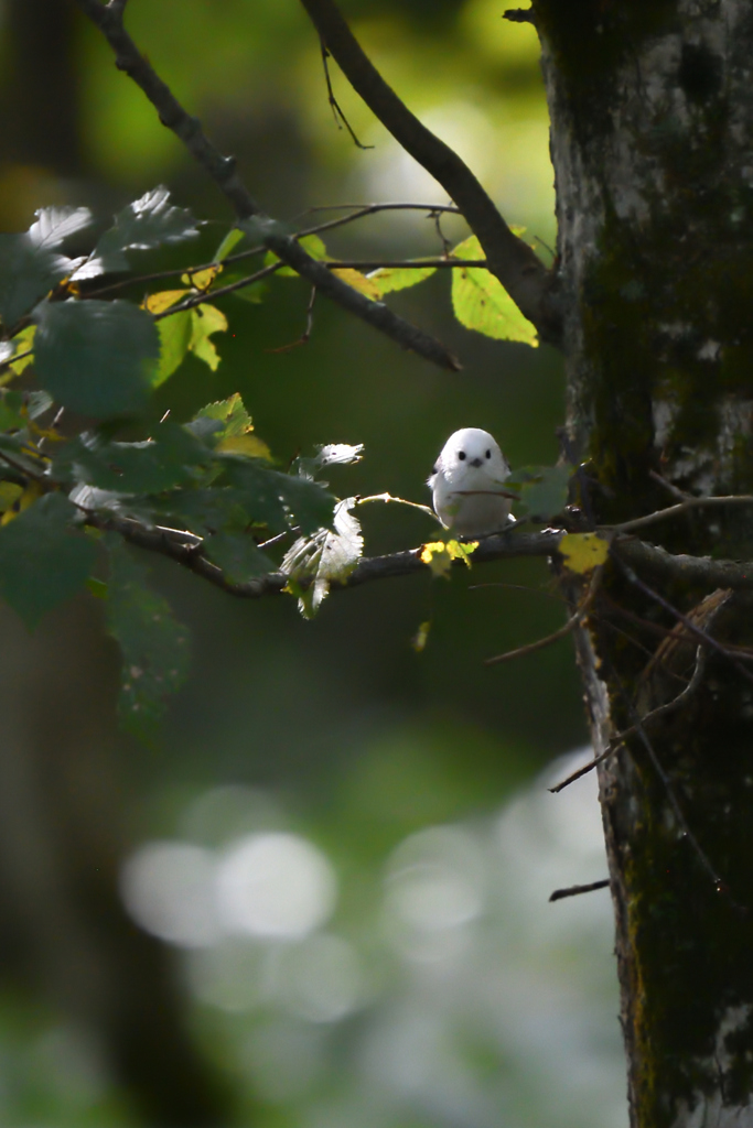 天使は８グラム