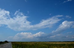long long way