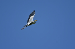 blue sky