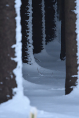 雪の細道
