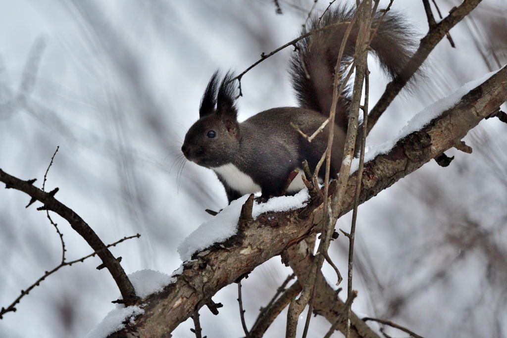 おそとであそぼ