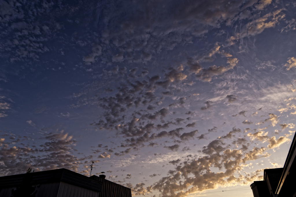 トワイライト夏