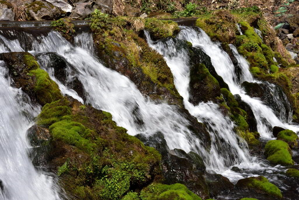 羊蹄の吹き出し水