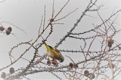 ひと時の幸せ