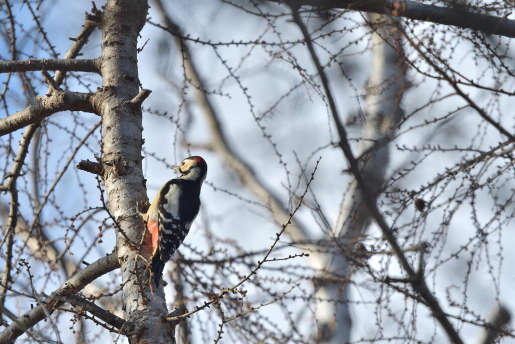 師走の昼下がり