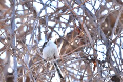 素敵なアイブロウ