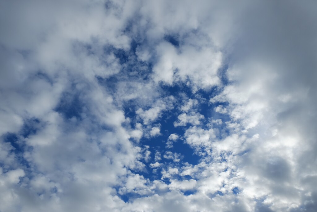 白雨の予感