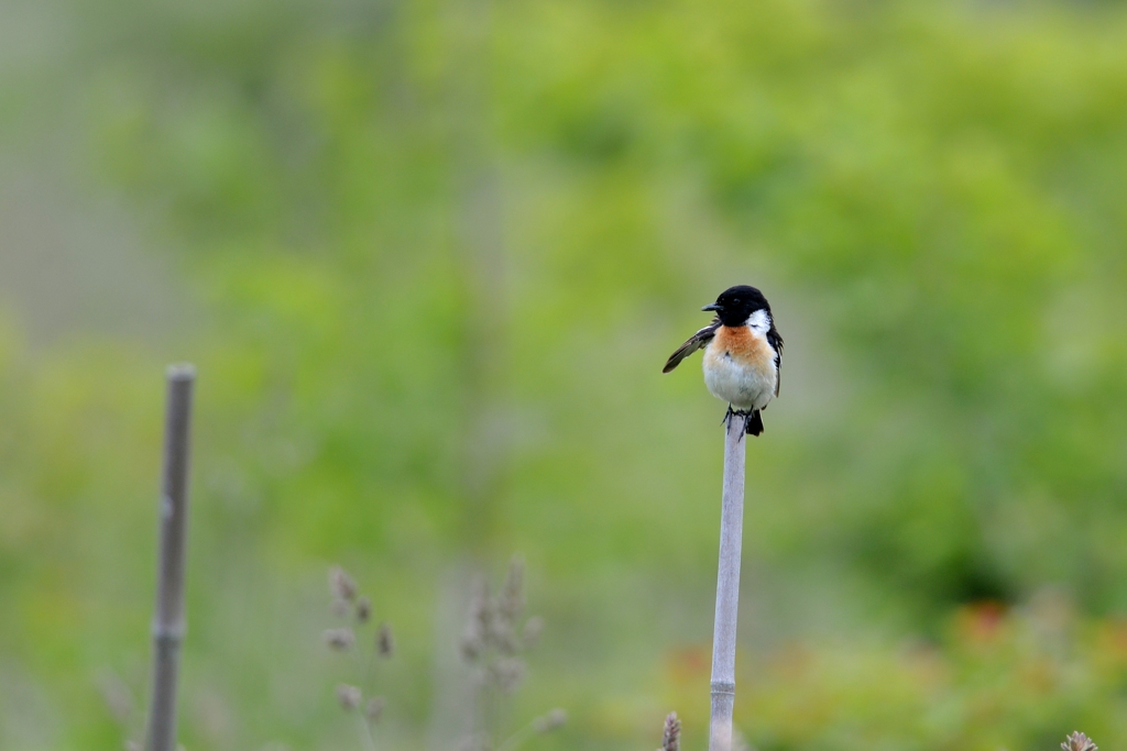 どうぞ、こちらへ