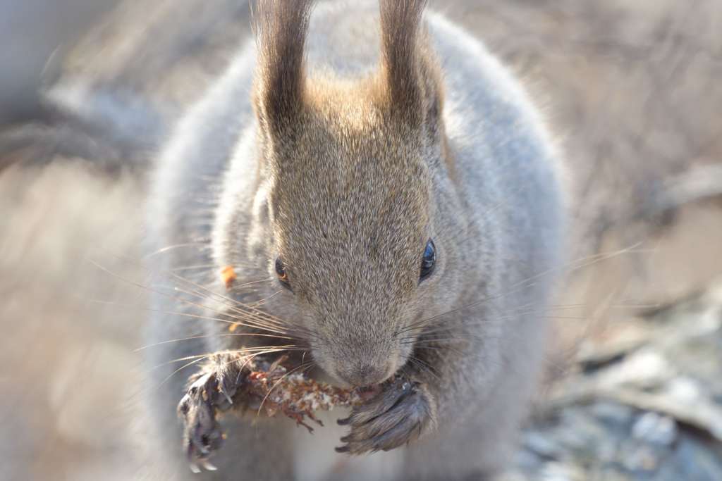 やめられない止まらない