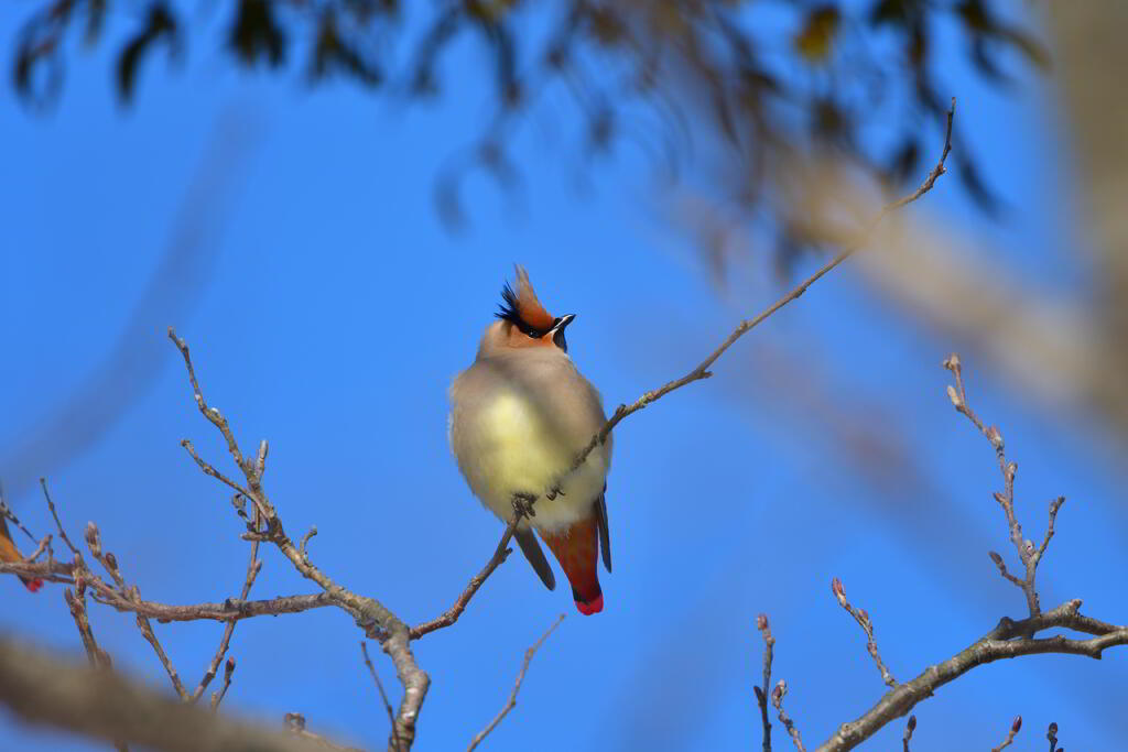 冬太りヤンキー
