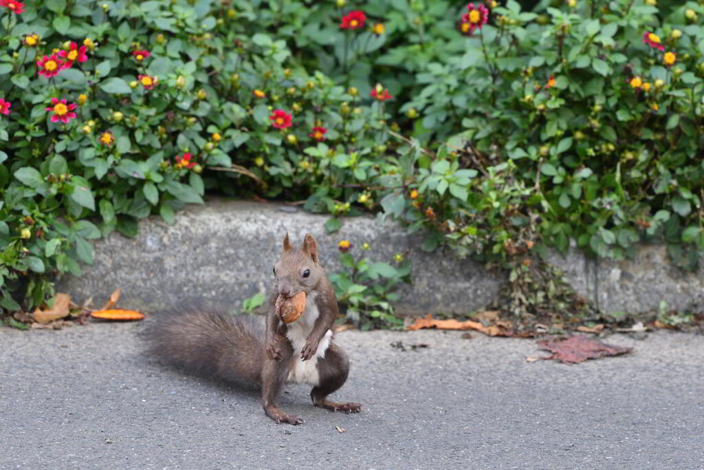 ザッツエンターテイメント
