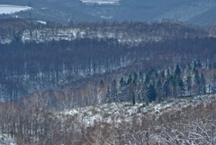 グレートビュー