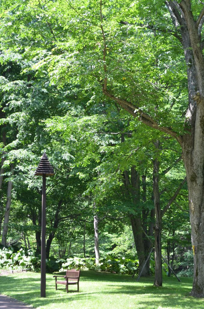 こころの居場所