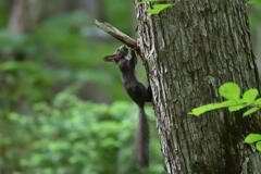 朝からハイテンション
