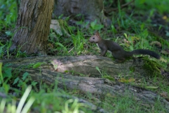 何となくそわそわ