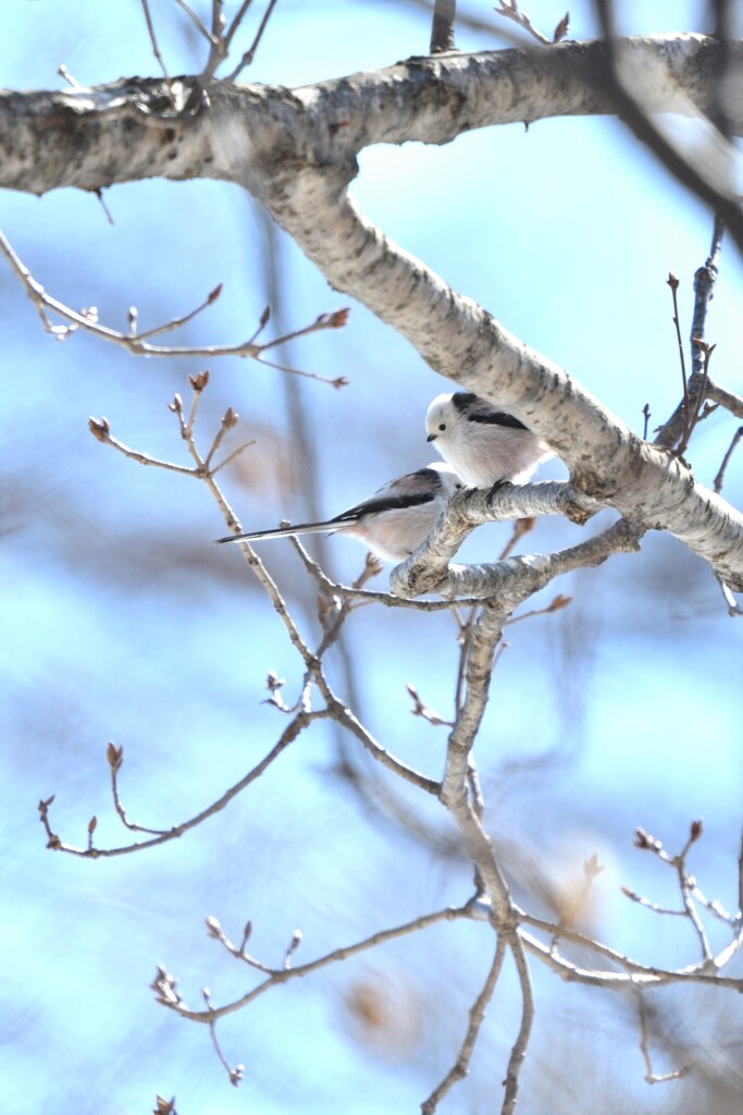 世界は二人のために