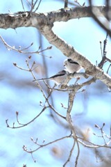 世界は二人のために