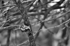 小さなことからコツコツと