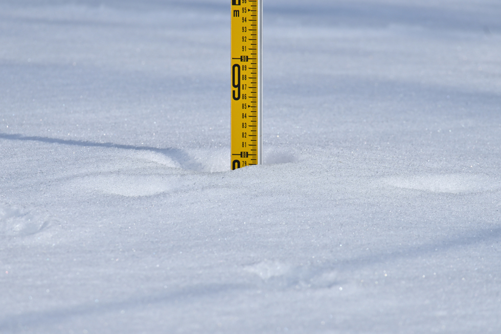 積雪７９センチ