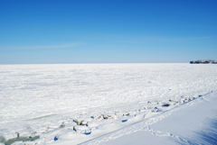 氷の海