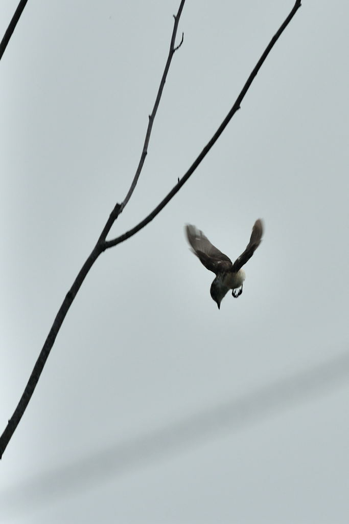 万有引力の法則