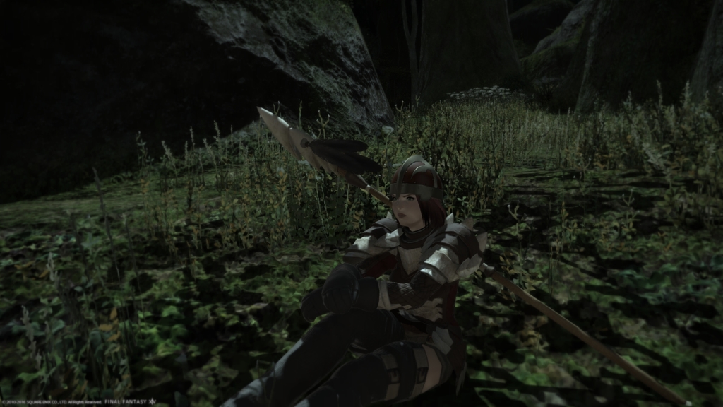 25615687775_7feb6328a0_o