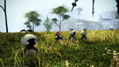 25666731496_694953fe63_o