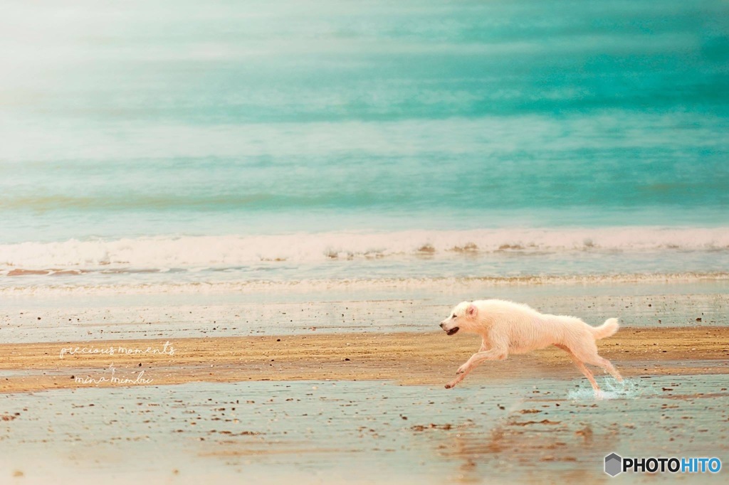 Run!