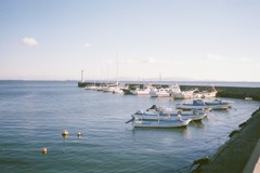 海