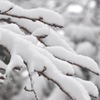 積雪