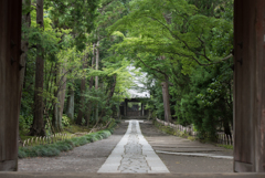 参道