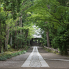 参道