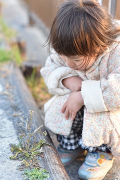 小さいお花