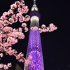 スカイツリーと桜