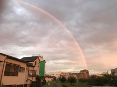 夕焼けに染まる虹