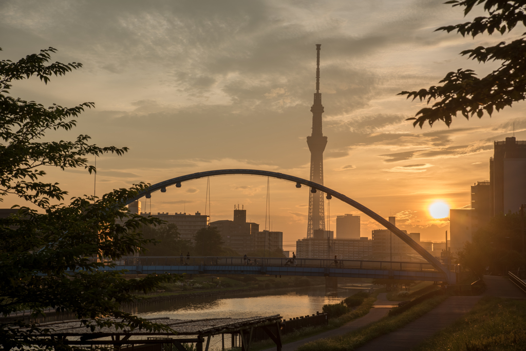夕陽