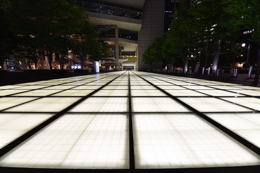 光る道