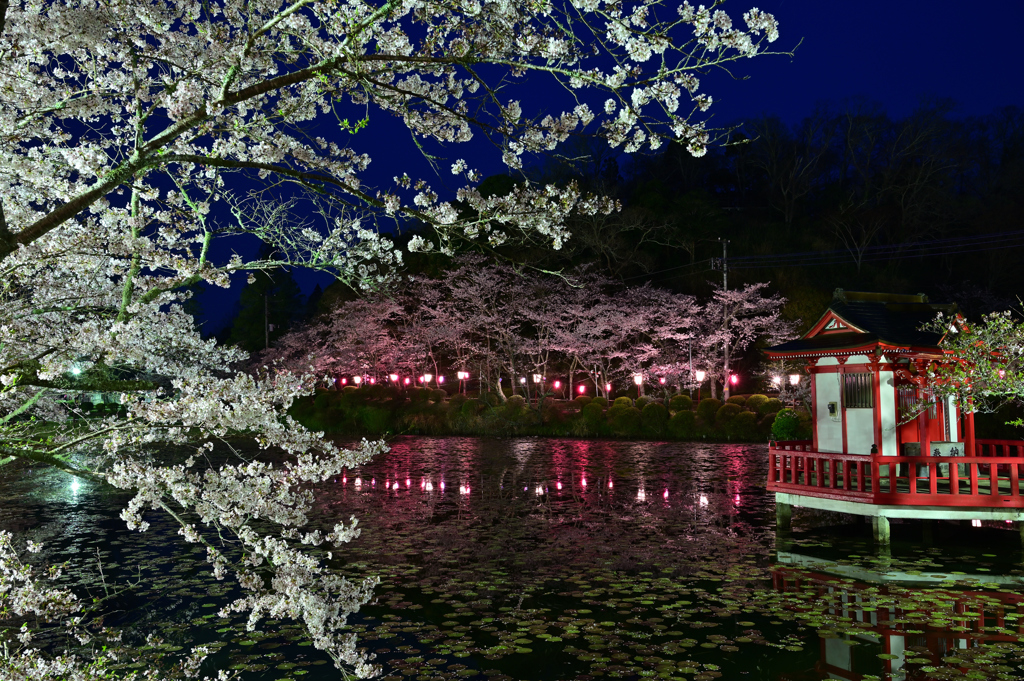 茂原公園