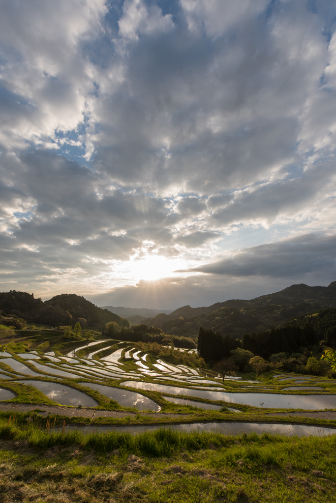 大山千枚田の朝日
